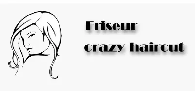 Logo Crazy Haircut